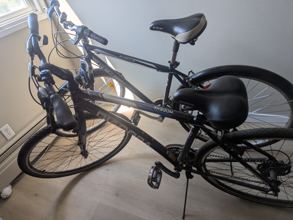 Diadora Modena & CCM Avenue Bikes