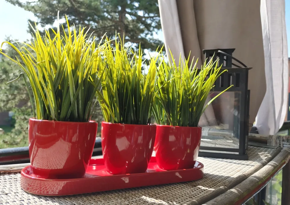 Red Ceramic Triple Planter thumbnail