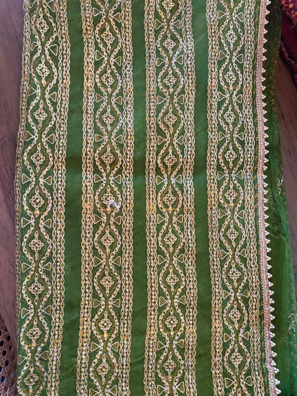 Green Embroidered Dupatta thumbnail