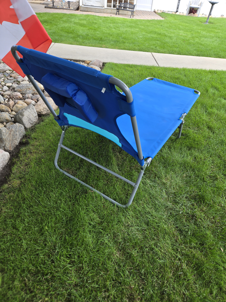 Ostrich Lounge Chaise - Blue - photo 3