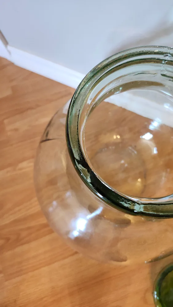 Large Glass Jar with Lid - Green Accents image indicator(2)