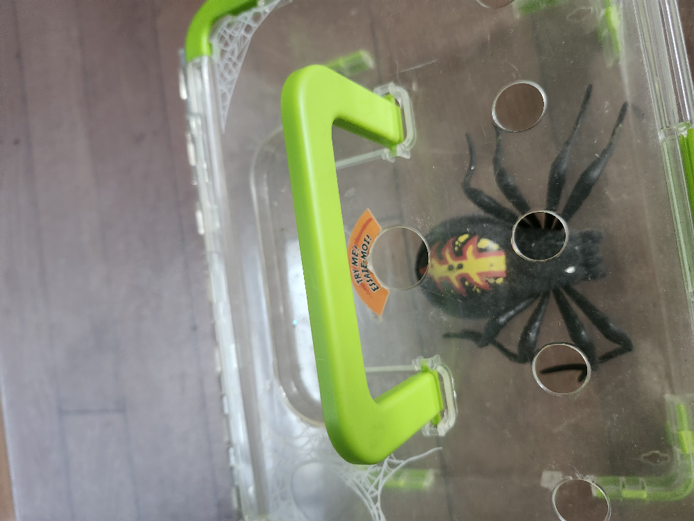 Creepy Crawlers Spider Habitat - photo 2