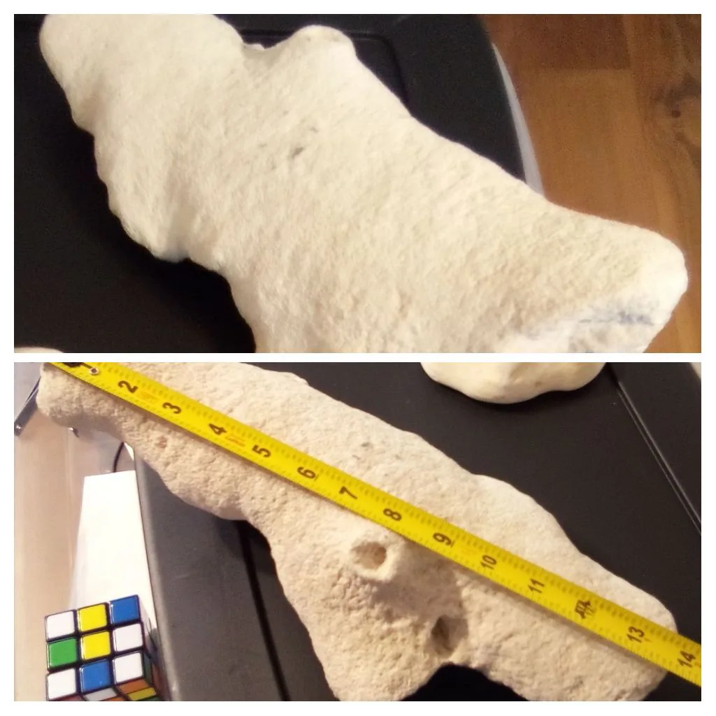 Large piece of coral weighs 9.5lbs and measures 14 inches thumbnail