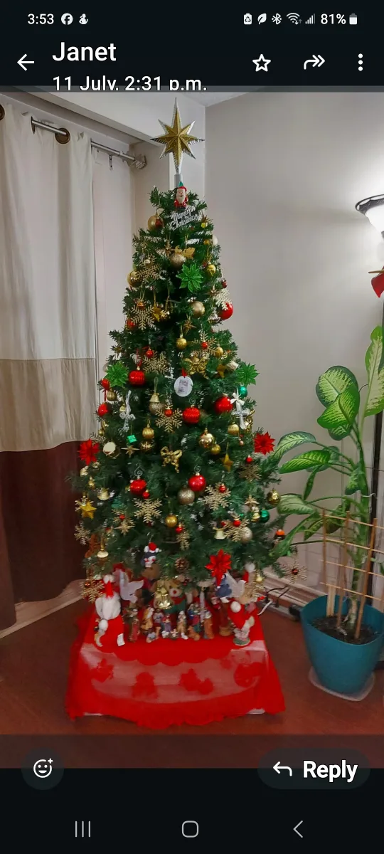 Christmas Tree with Ornaments thumbnail