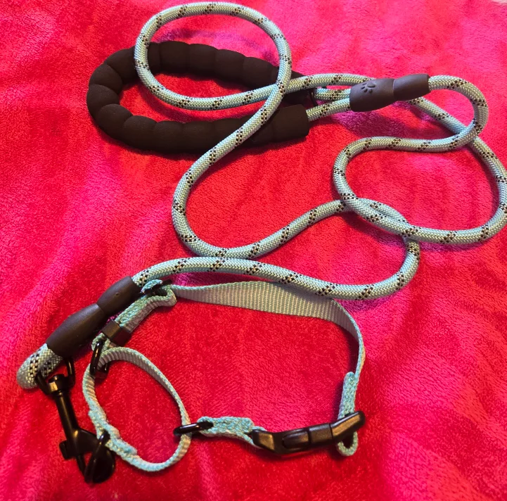 Blue Rope Dog Leash with Padded Handle thumbnail
