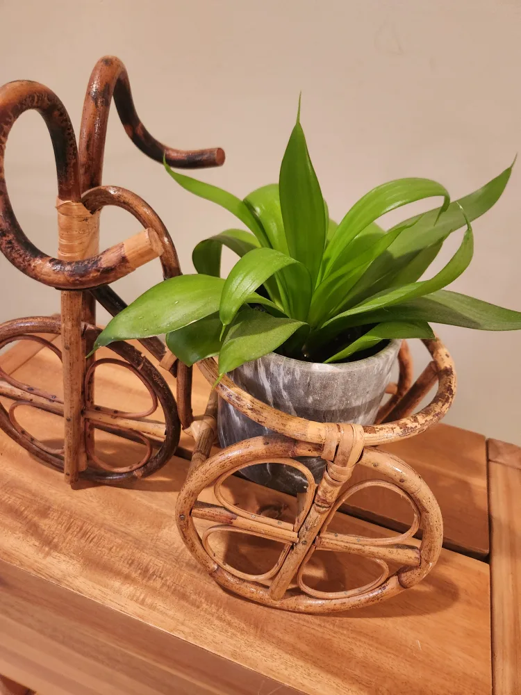 1970's bamboo Bicycle Plant Holder thumbnail