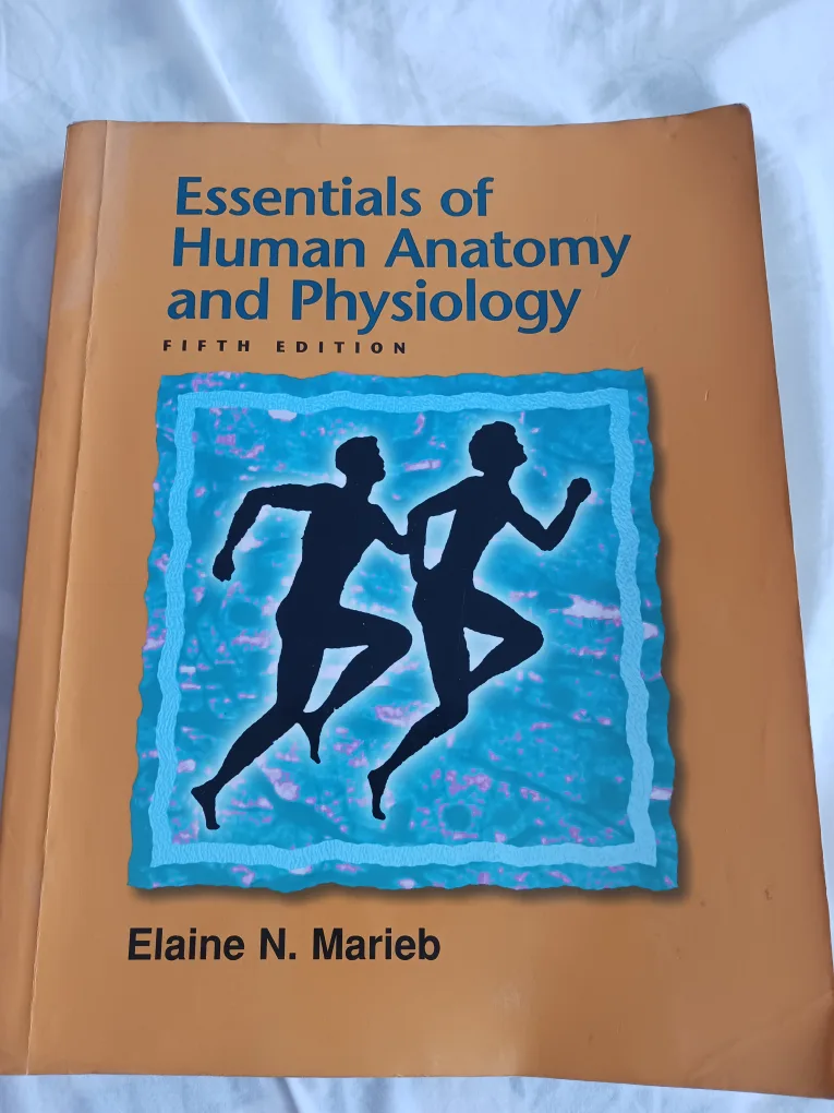 Essentials of Human Anatomy and Physiology - Textbook thumbnail