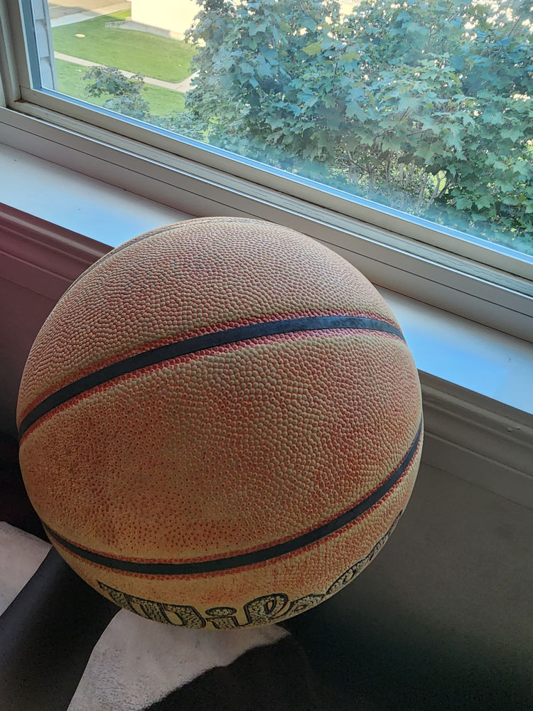 Wilson basketball