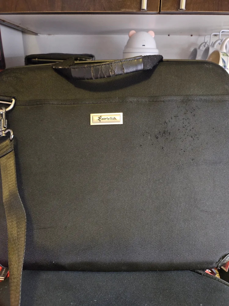 GnarlyFish Laptop Bag Hard Carrying Case, Black 17 inch image indicator(4)