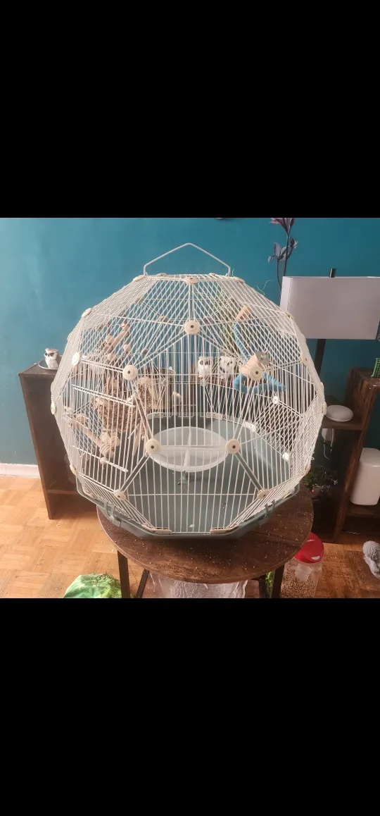 big round  bird cage thumbnail