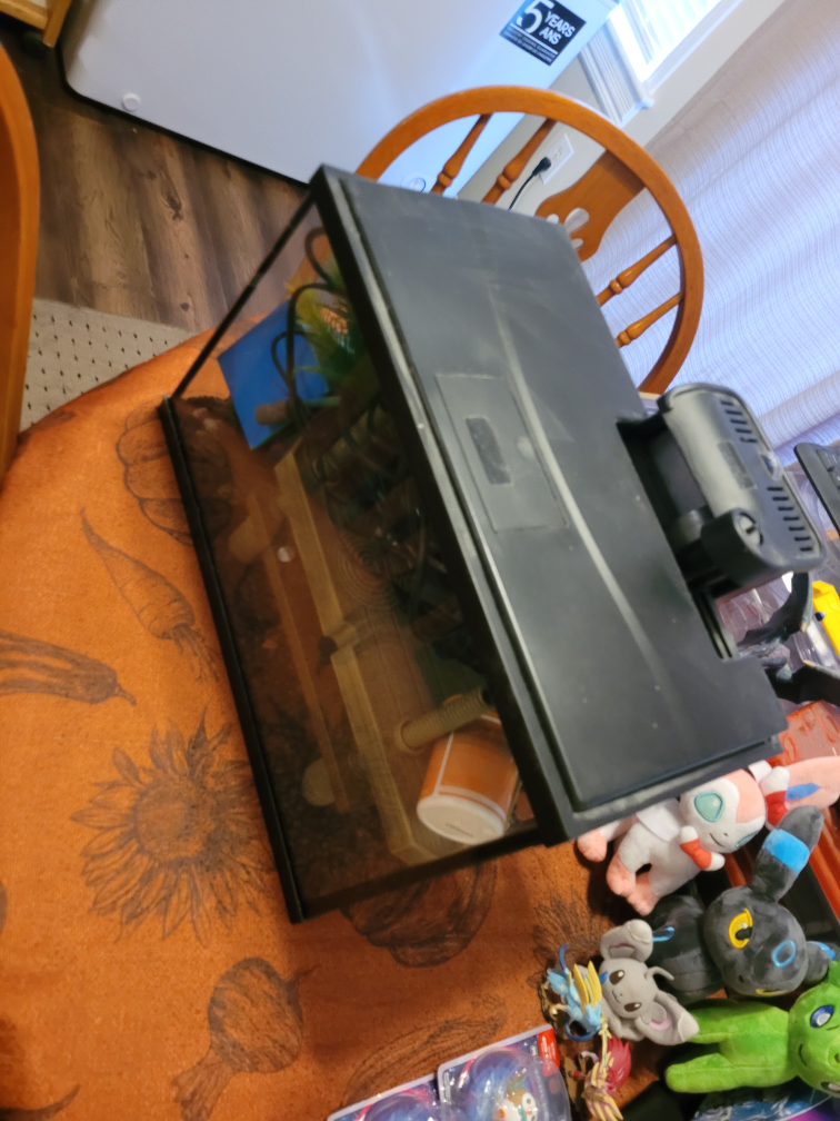 Aquarium 5 Gallon
