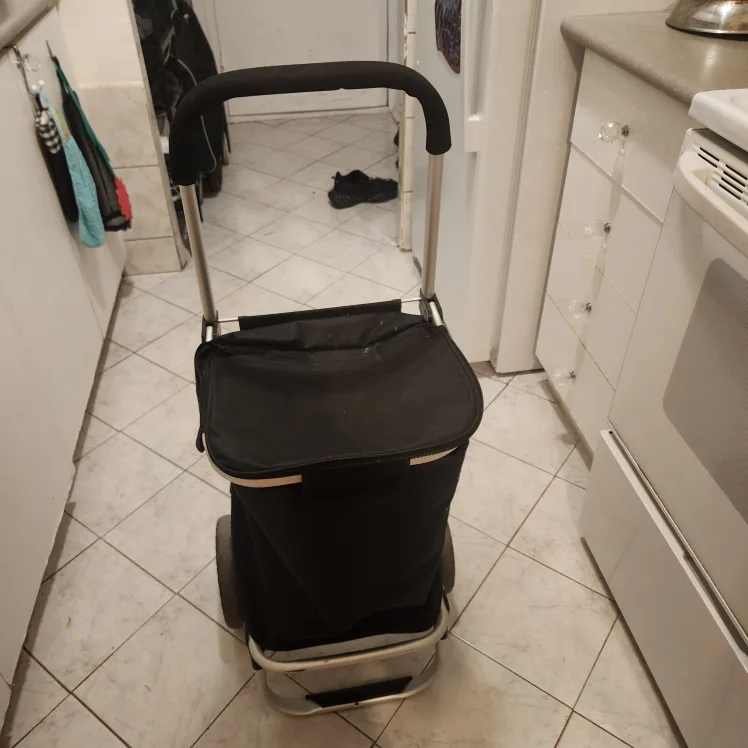 Black Folding Shopping Cart thumbnail