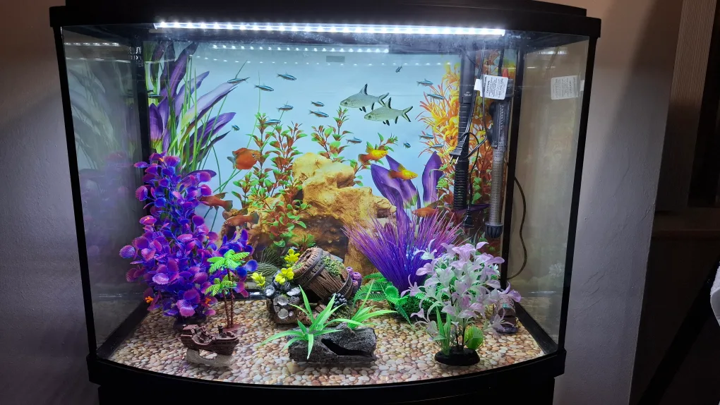 Fish tank with stand & accessories image indicator(3)