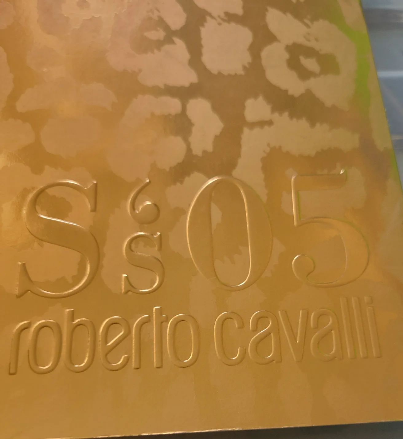 Roberto Cavalli S/S 05 Fashion Book image indicator(2)