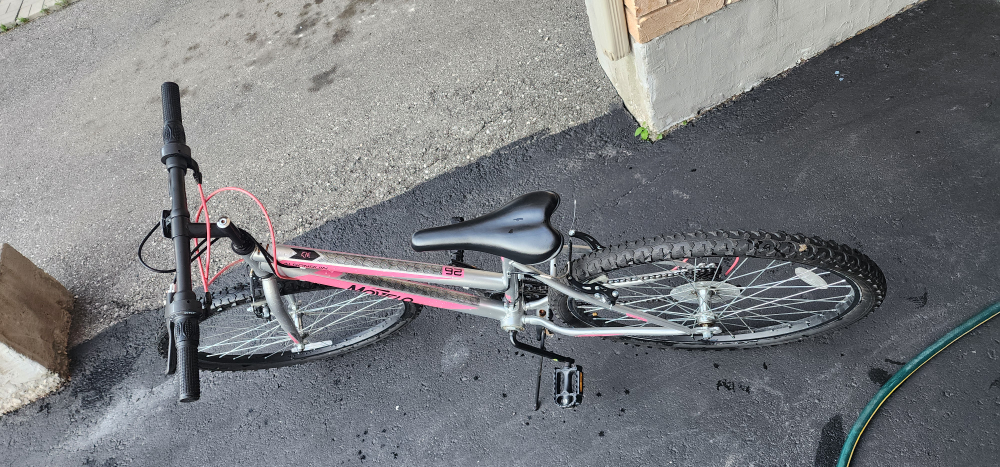 MoveLo Algonquin Bike 26 inches - Pink & Silver - photo 3