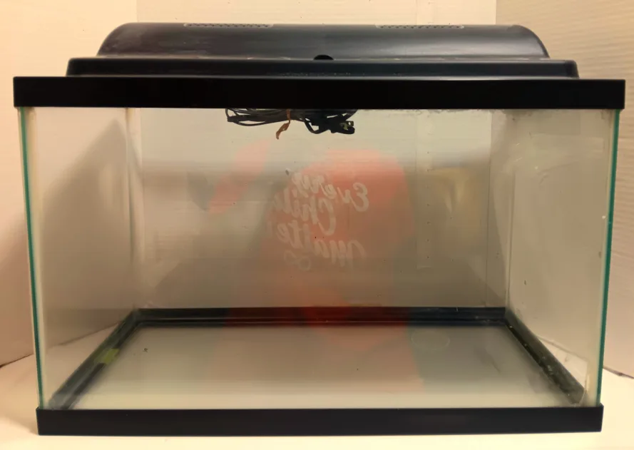 🕷🪸🐠Used Fish Tank with Black Trim 10 gallons with light🪸🕷🐡 thumbnail