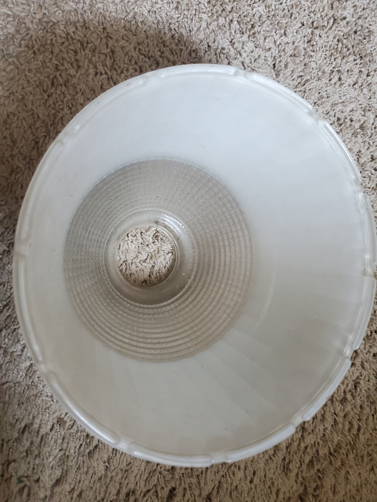 ANTIQUE LIGHT SHADES - photo 3