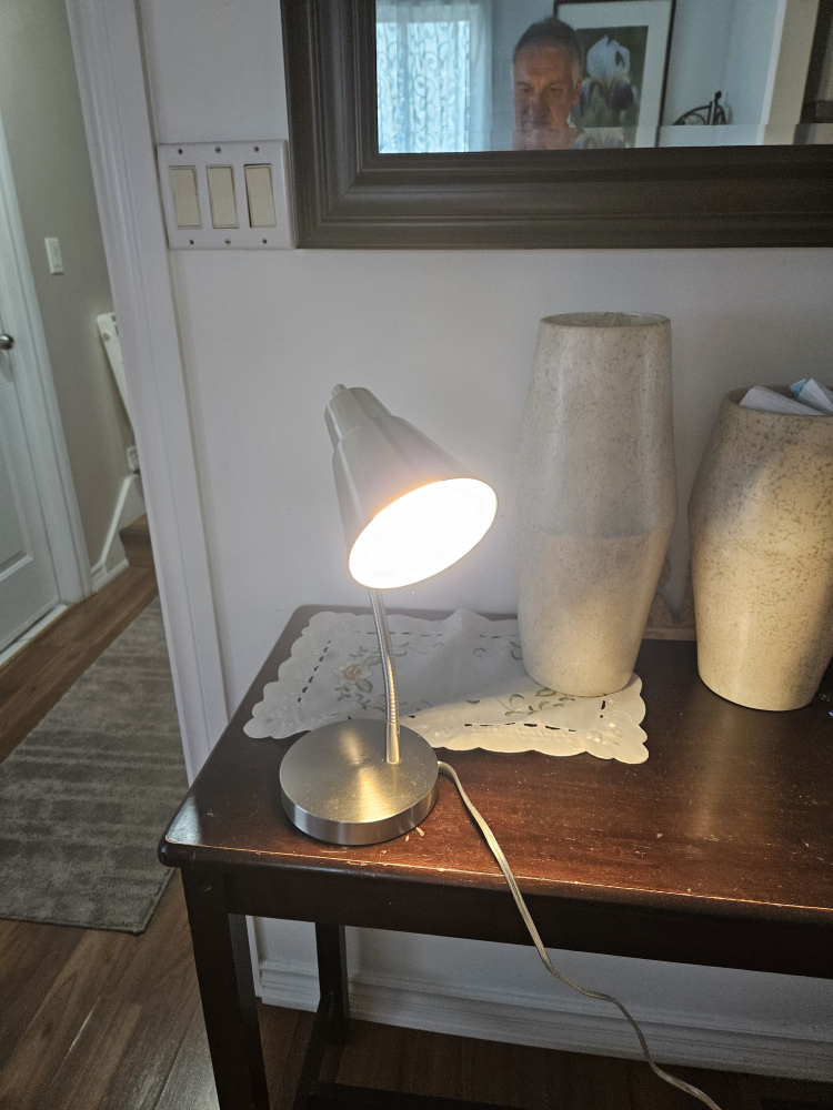 Silver Desk Lamp - photo 2