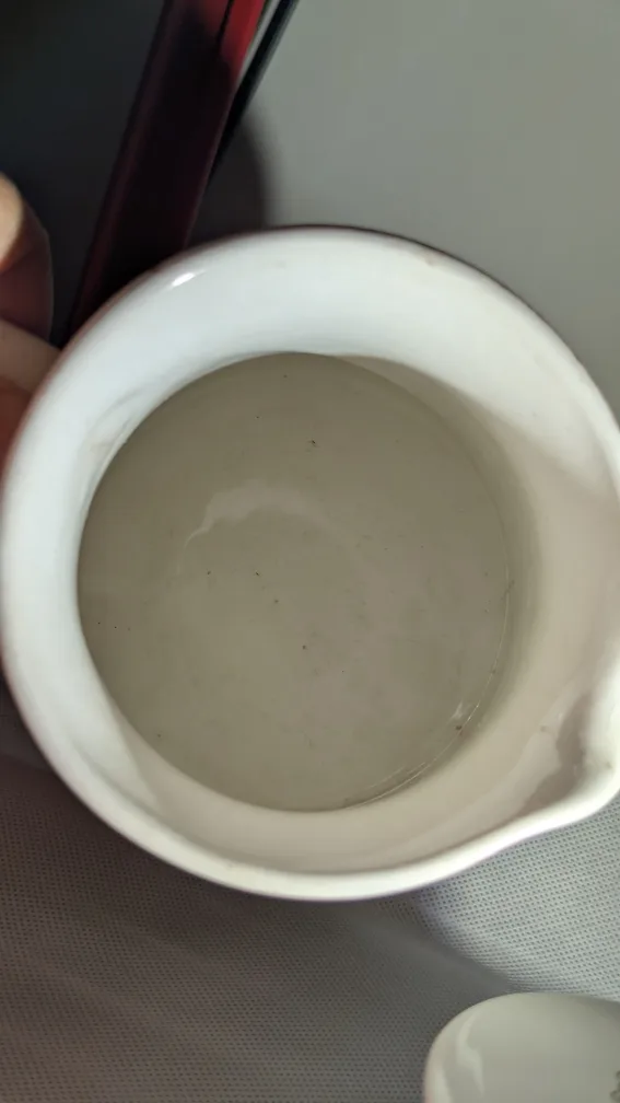 Market by Figgio Turi Pitcher, Sugar Bowl, and Salt & Pepper  🇨🇦 image indicator(10)