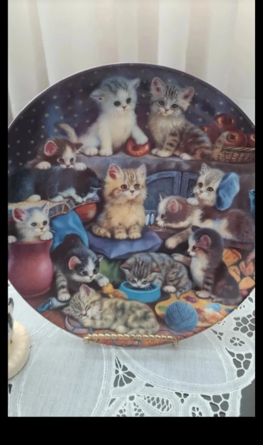 kitten plate 🇨🇦🍁 thumbnail
