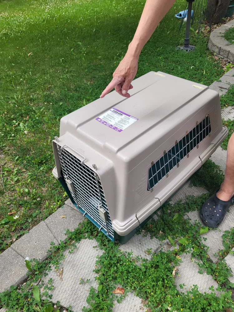 Furrari Pet Carrier - Dogloo thumbnail