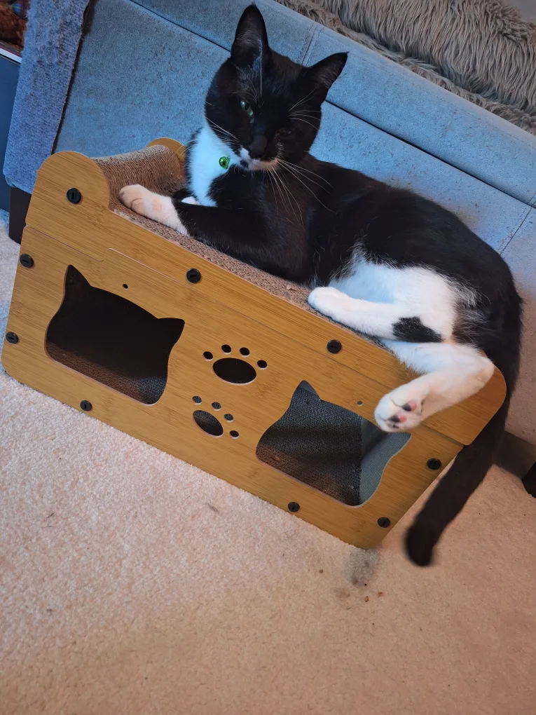 Used Cat Scratcher Lounge Bed thumbnail
