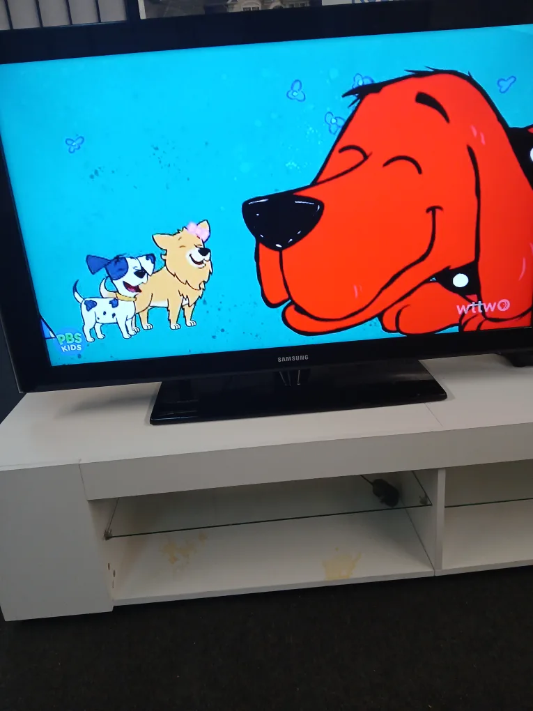 46 inch TV no control thumbnail