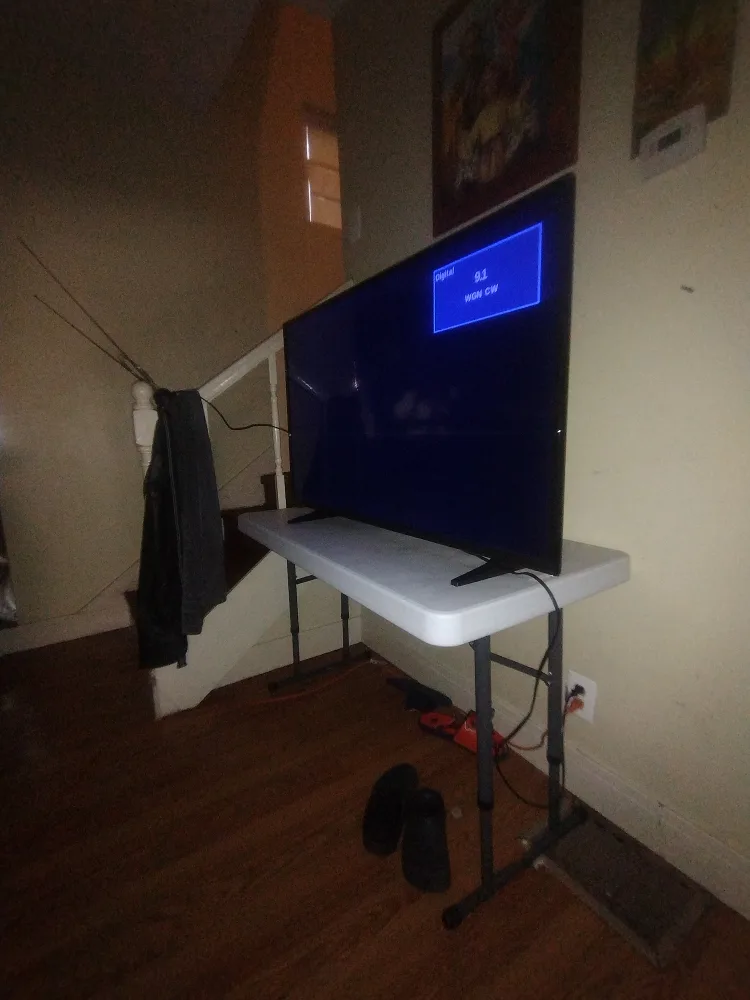 Insignia 50" Tv LED image indicator(2)