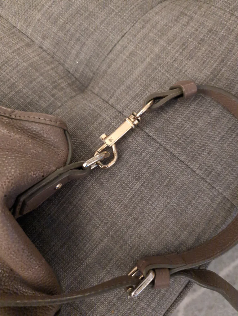 Brown Leather Louis Vuitton Handbag image indicator(2)