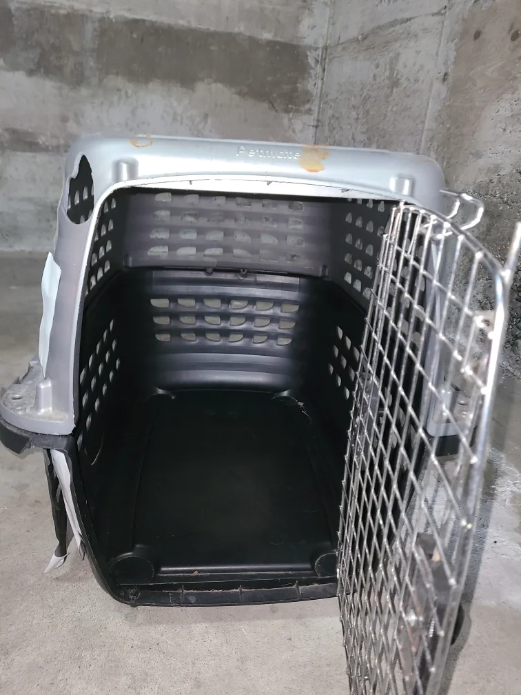 Petmate Pet Carrier thumbnail
