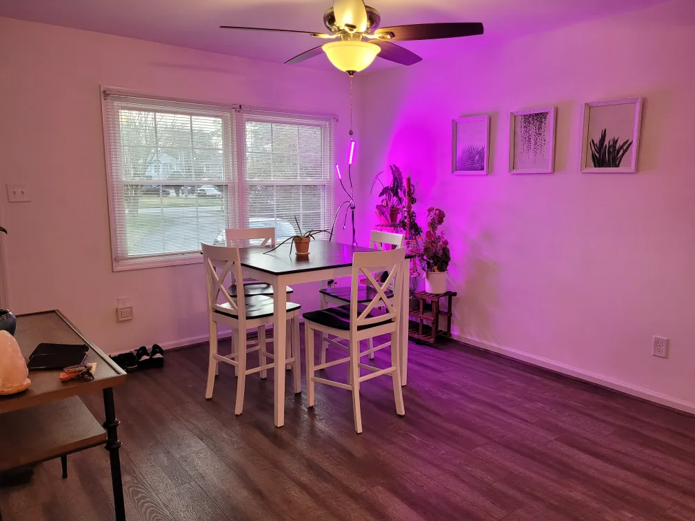 Priced to sell! Square Dining Table with 4 Chairs image indicator(2)