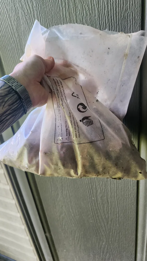 Lava rocks image indicator(2)