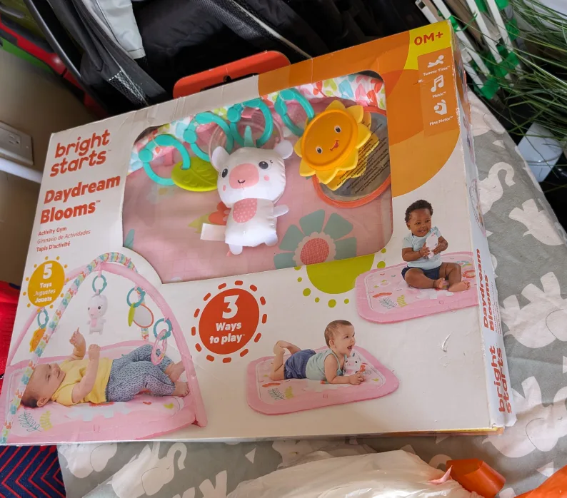 Bright Starts Daydream Blooms Activity Gym (New) thumbnail