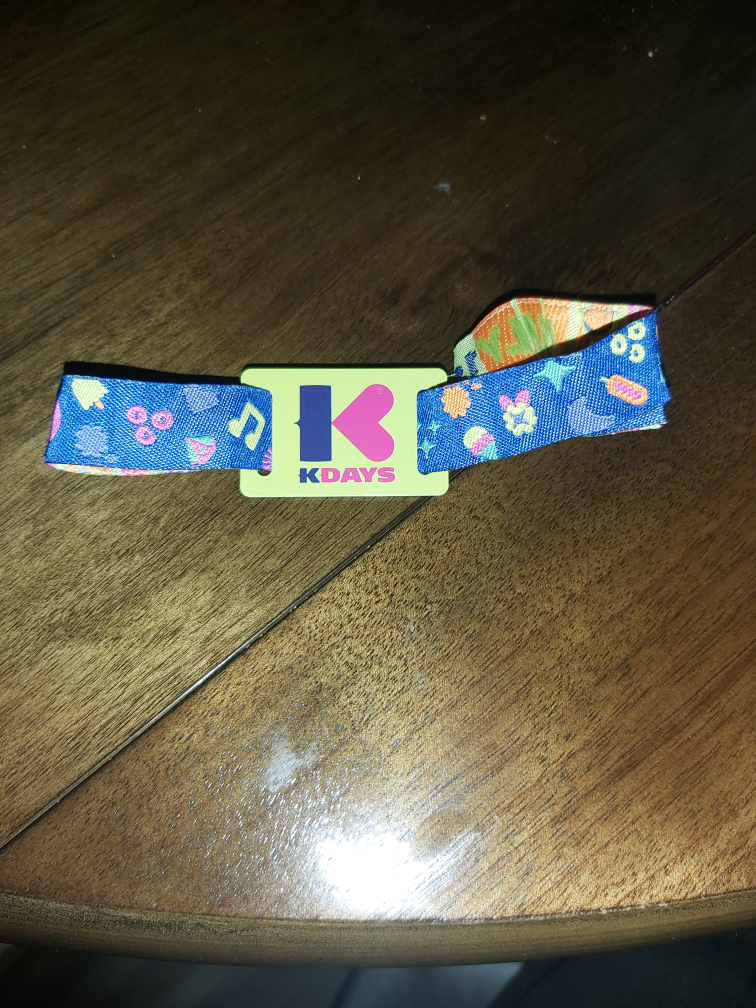 10 day k-days gate pass - photo 2