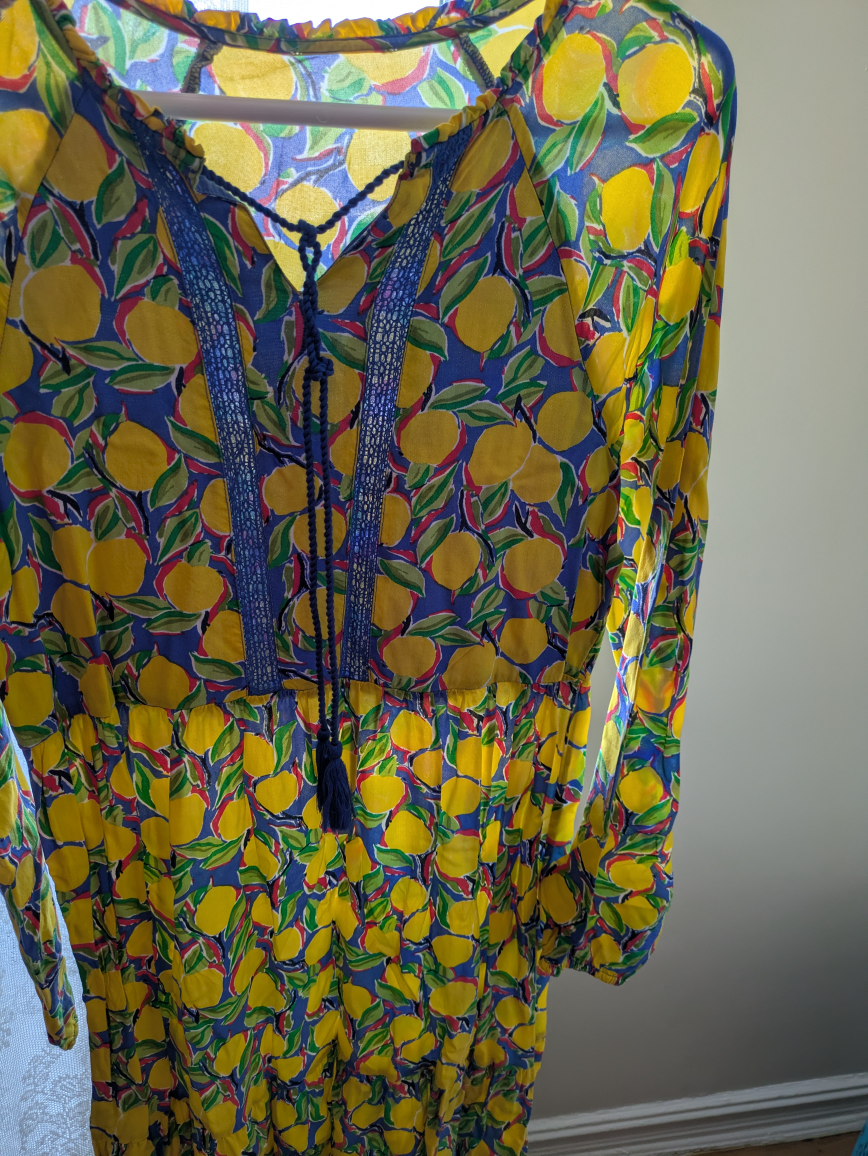 Lemon Print Dress - Blue & Yellow - photo 2