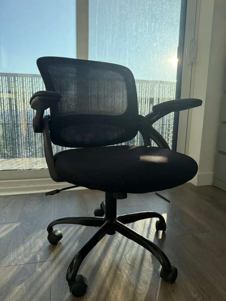FelizKing Ergonomic Office Chair thumbnail