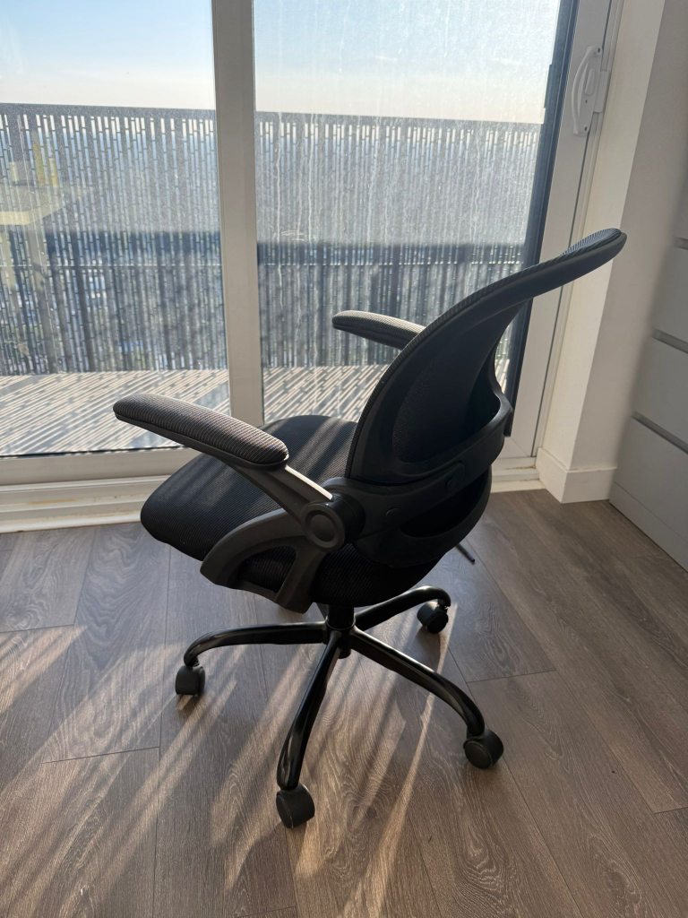 FelizKing Ergonomic Office Chair - photo 2