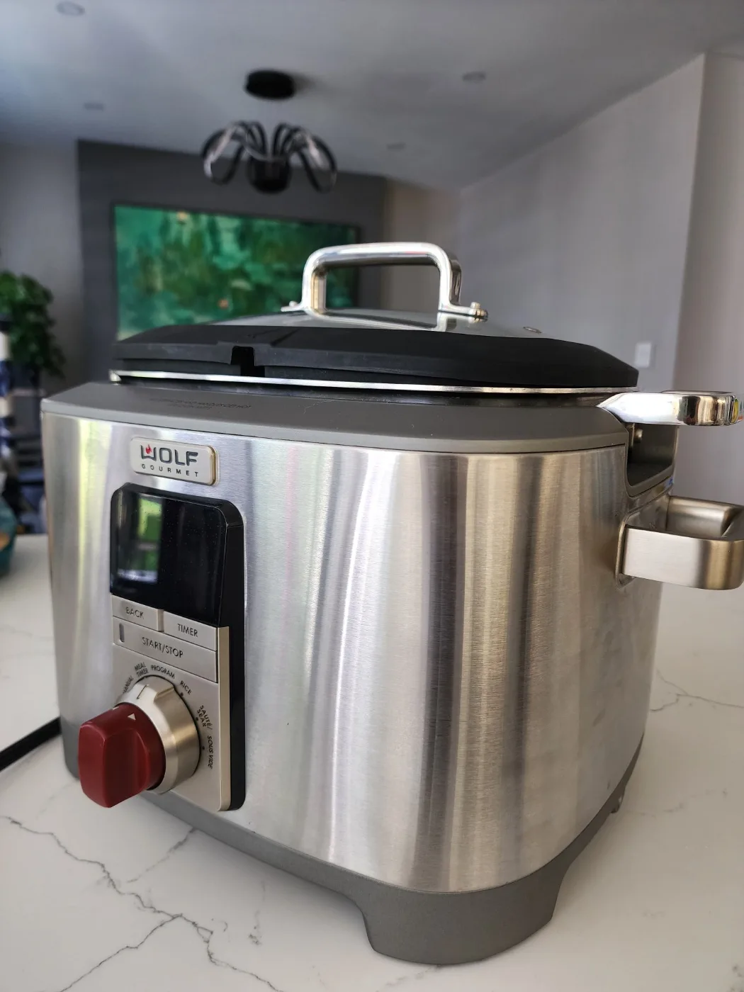 Wolf Gourmet Multi-Function Cooker image indicator(4)