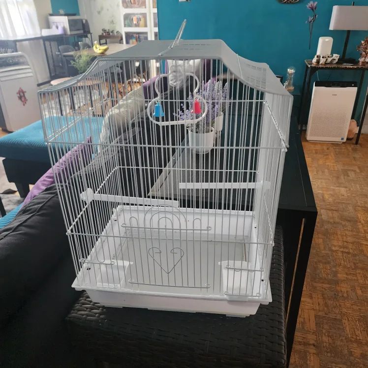 small  Bird Cage thumbnail