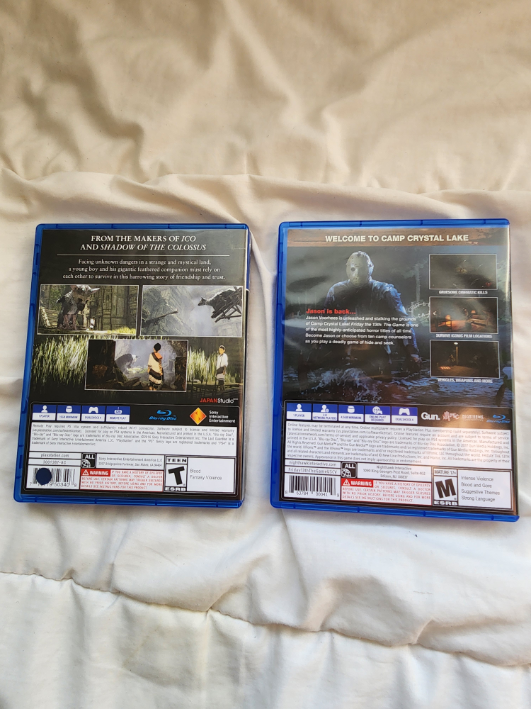 Friday the 13th and The Last Guardian PS4 - photo 2