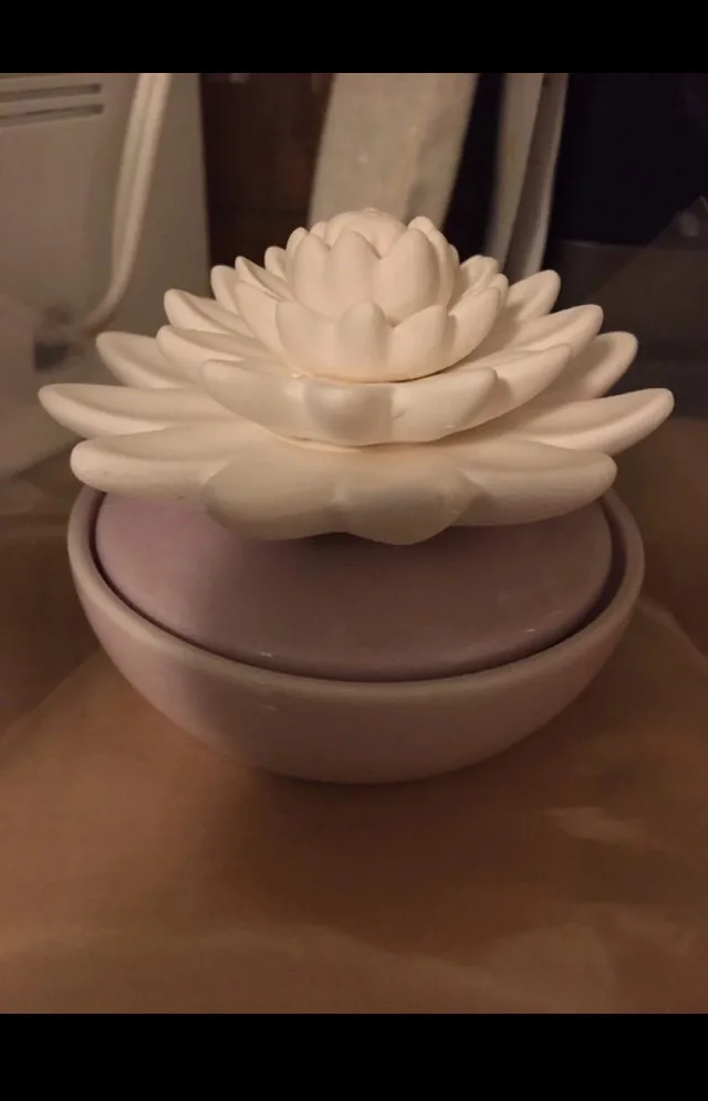 Ellia’s stone essential oils diffuser thumbnail