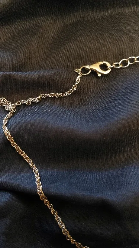 New! Bitter Sweet Sterling Silver Necklace image indicator(5)