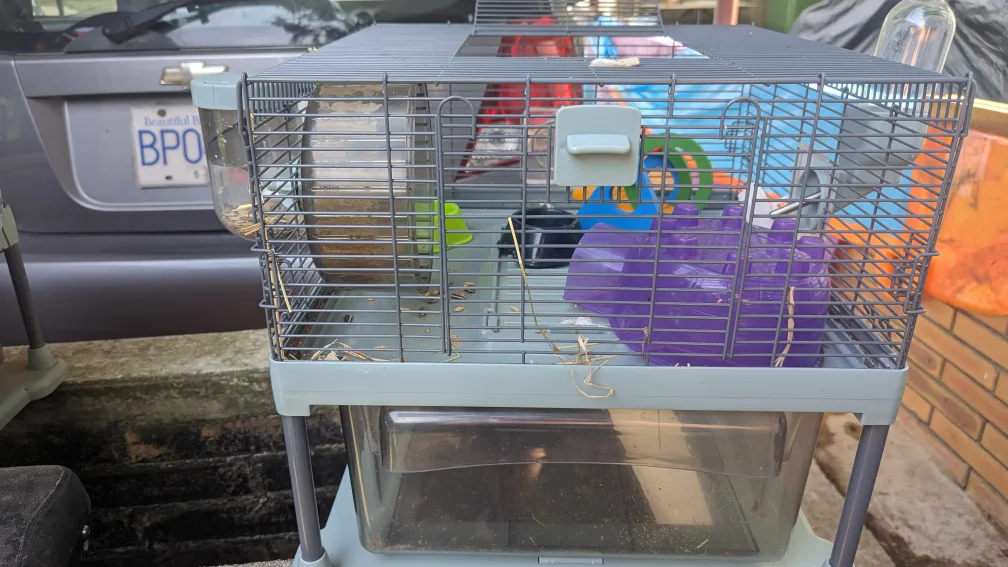 Hamster Cage with Accessories each cage 30.00 image indicator(2)
