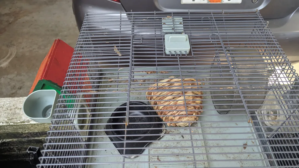 Hamster Cage with Accessories each cage 30.00 image indicator(4)