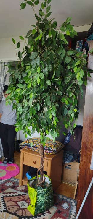 tree artificial - photo 3
