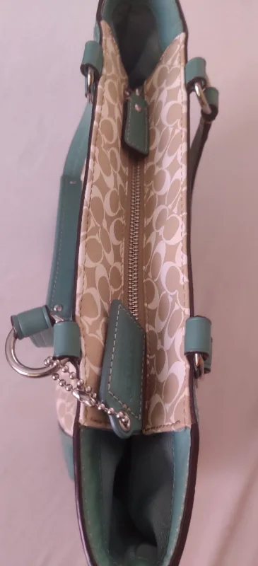 Coach Handbag image indicator(2)