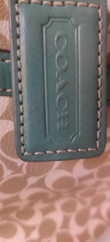 Coach Handbag image indicator(5)