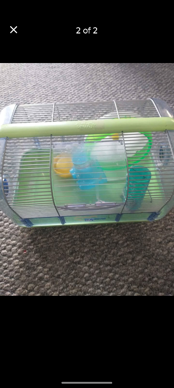 hamster cage