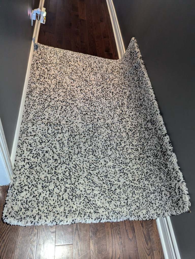 Shag Rug - Black and White - photo 2