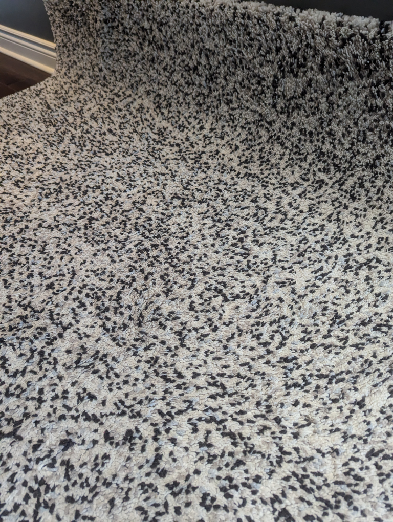 Shag Rug - Black and White - photo 3
